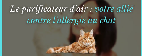 Le purificateur d'air : votre allié contre l'allergie au chat