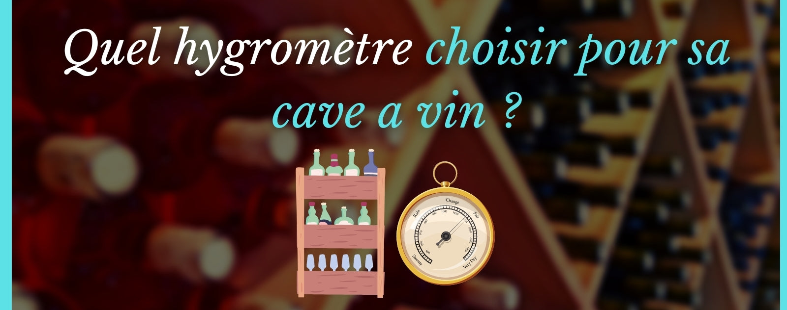 http://air-move.fr/cdn/shop/articles/Quel-hygrometre-choisir-pour-sa-cave-a-vin.jpg?v=1617689008