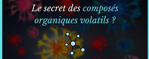 Le secret des composés organiques volatils ?