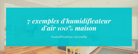 7 exemples d'humidificateur d'air 100% maison